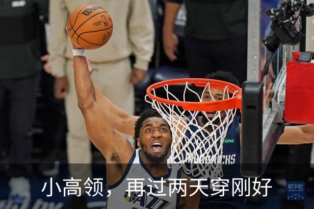 小高领，再过两天穿刚好